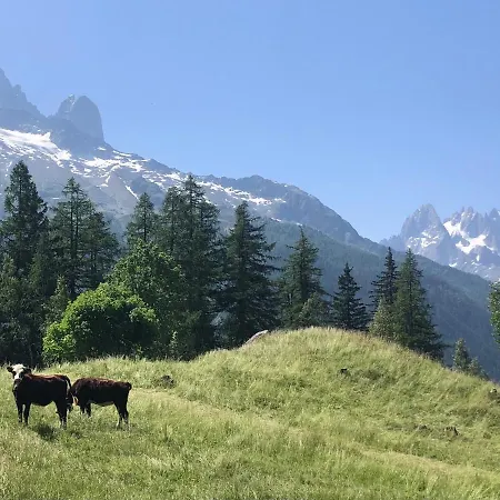 Arolles Chamonix